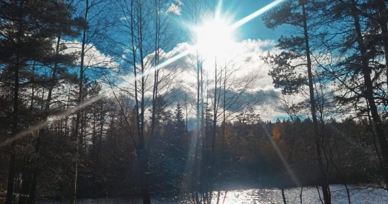 Mökkiviikonloppu pikkuserkkujen kanssa