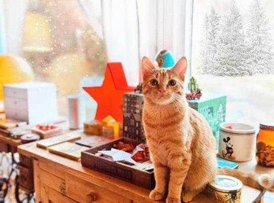 Pimeys kuristaa, millä kurittaa pimeyttä?