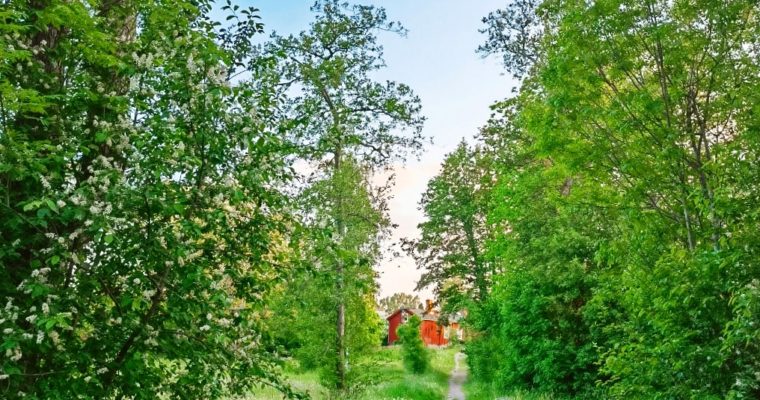 Ahvenanmaa 100 vuotta, upea Viking Glory ja rakas Silja Serenade