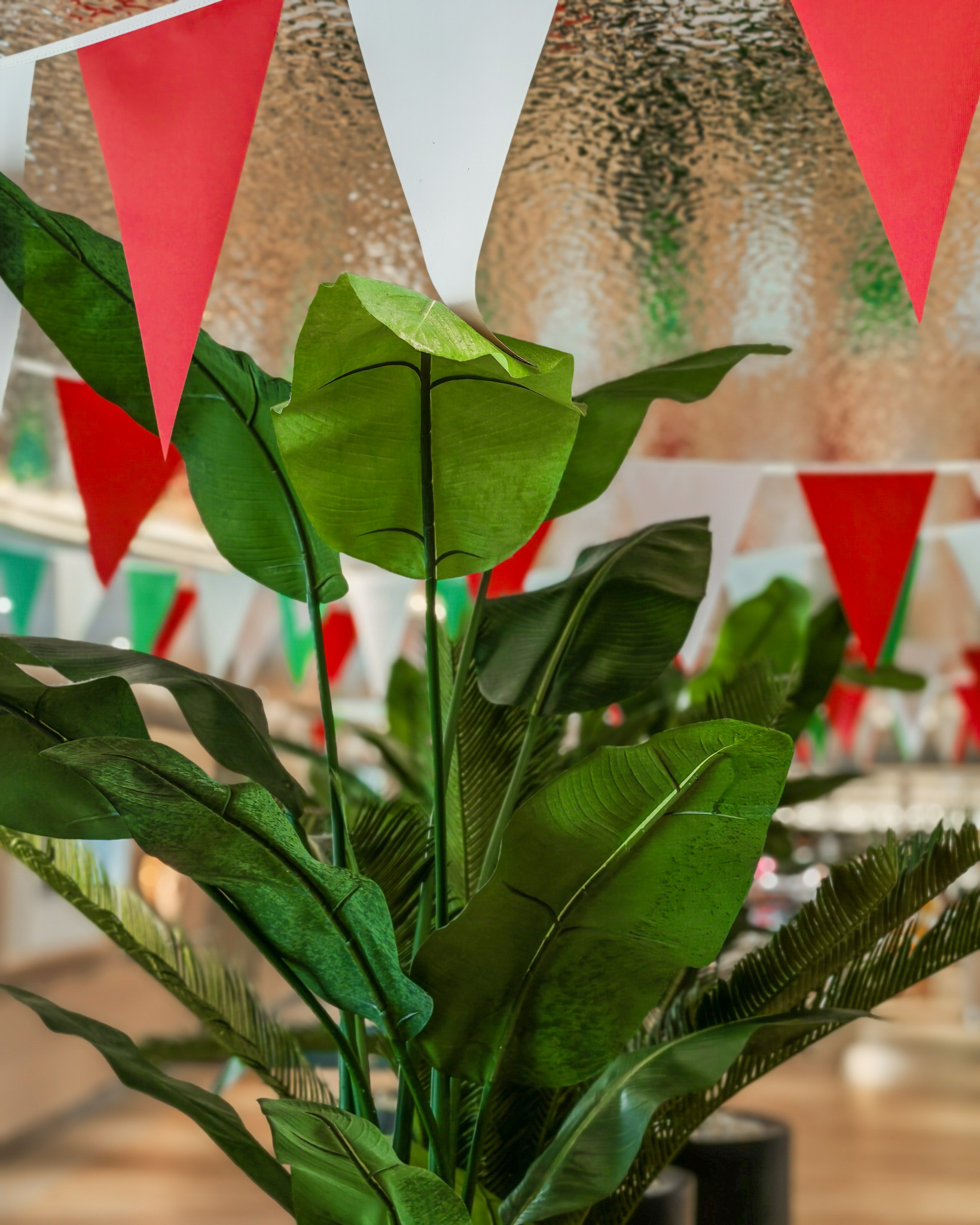 italinviikot merellä, baltic princess, tallinksiljasuomi. 